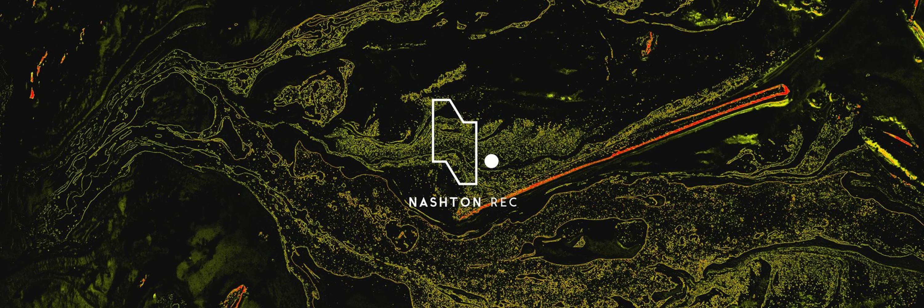 Nashton Records
