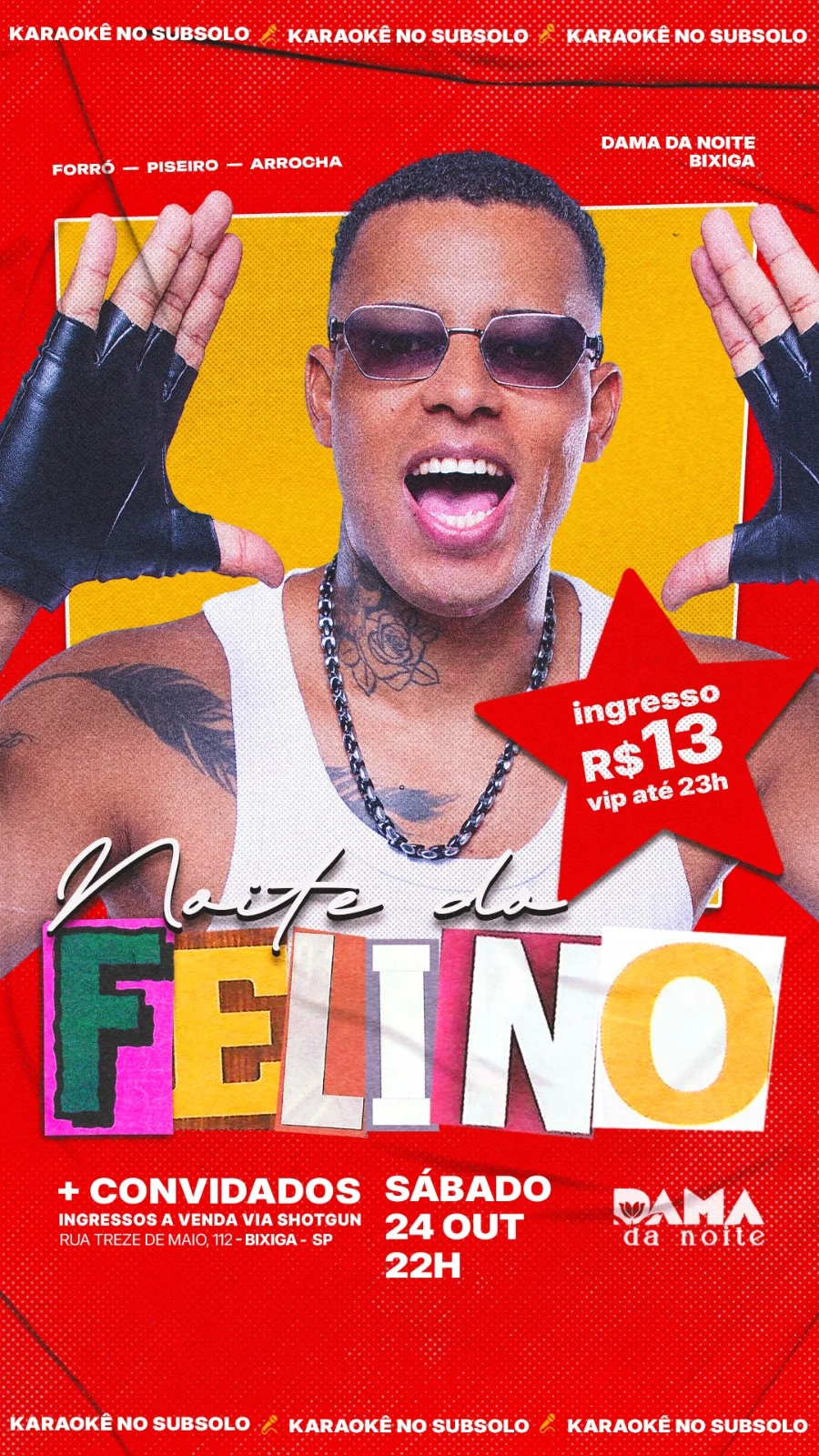 Noite Do Felino
