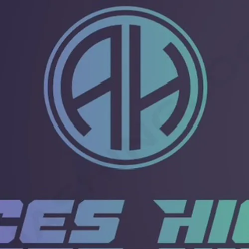 Aces High 737