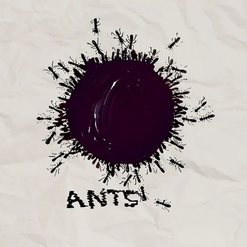 Ants coffee