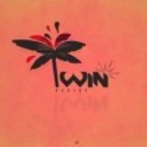Dj Twin FWI