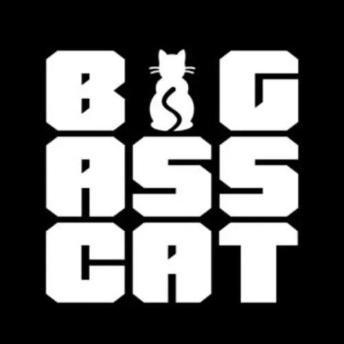 BIG ASS CAT