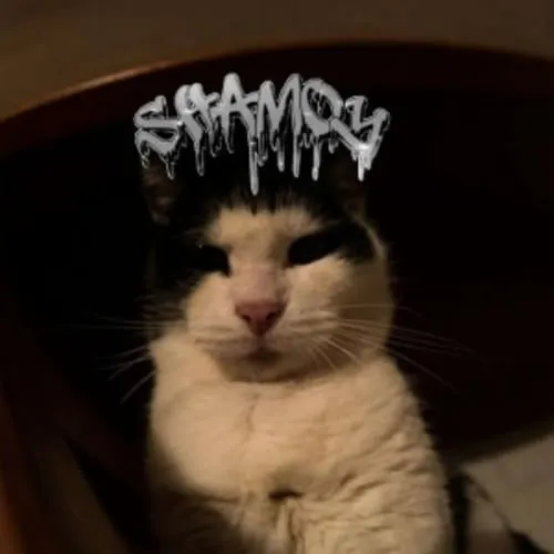 SHAMOY