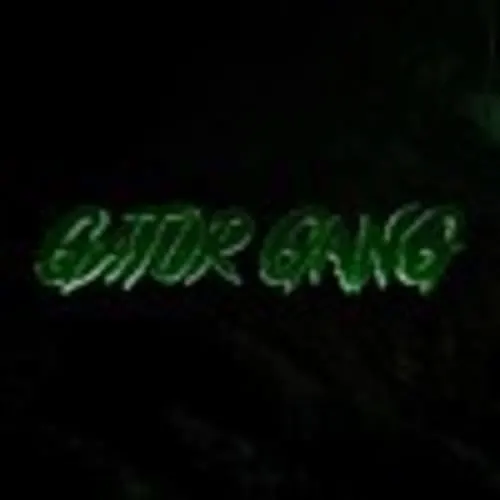GATOR GANG