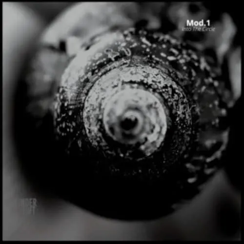 Mod.1