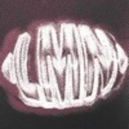 LMN