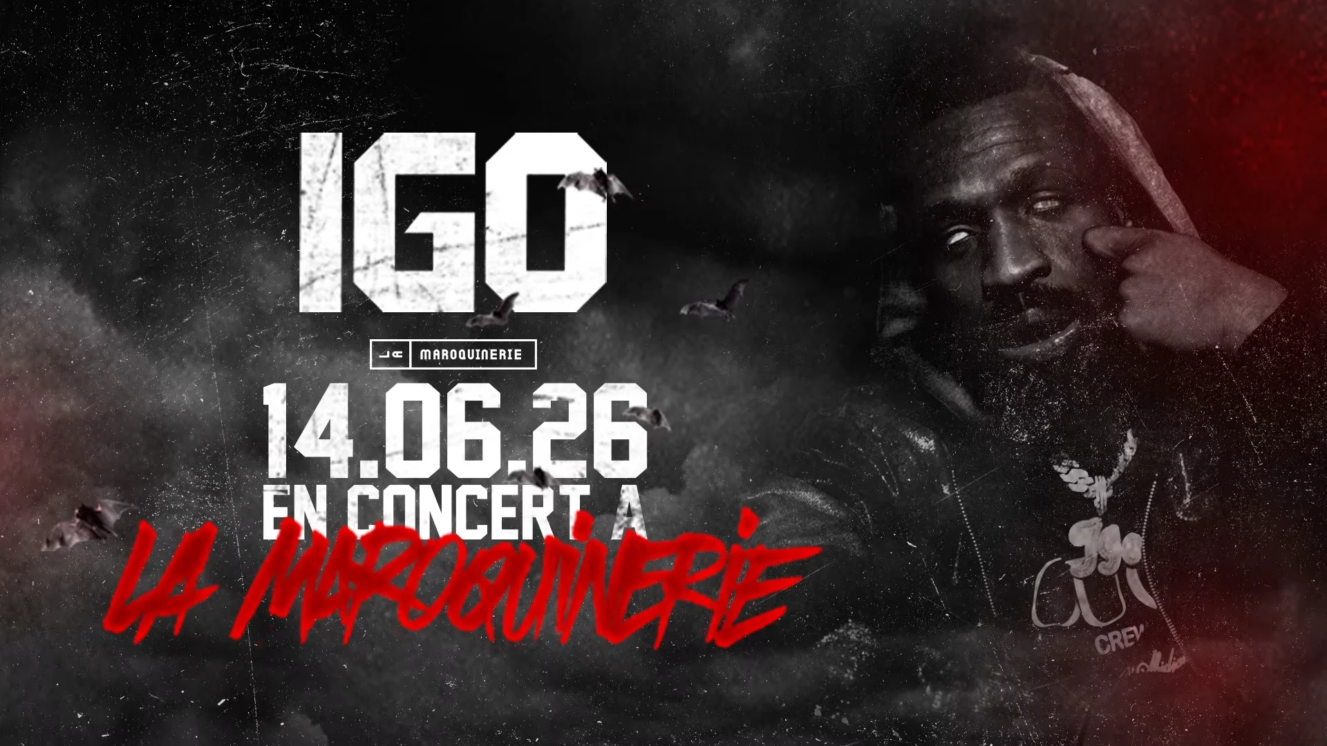 IGO