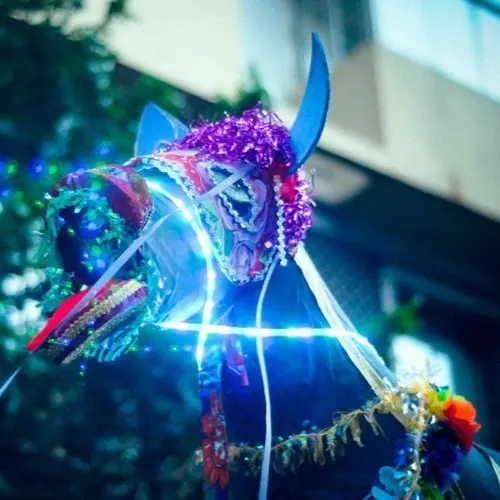 Bloco Jegue Elétrico