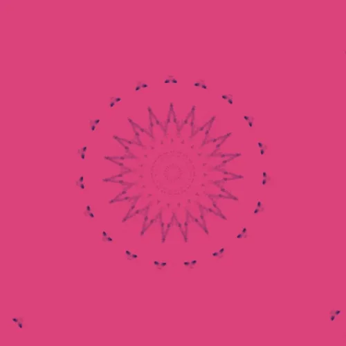 CICLET