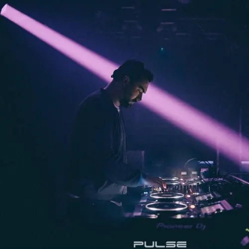 darrell_pulse