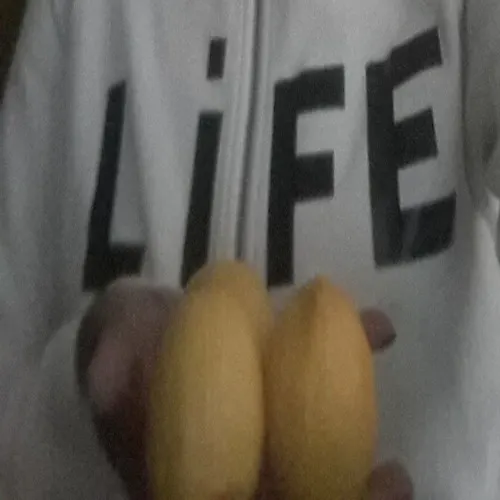 d'jae terratori