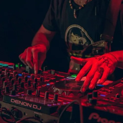 La T.A.Z trip (Bird Man Sound)