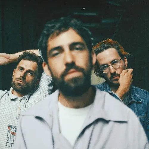 mad_foxes