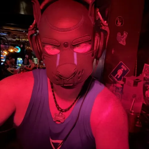 ThePupDash
