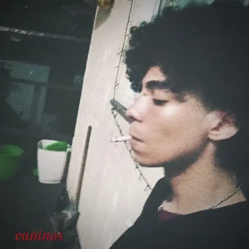 ligrev pablo