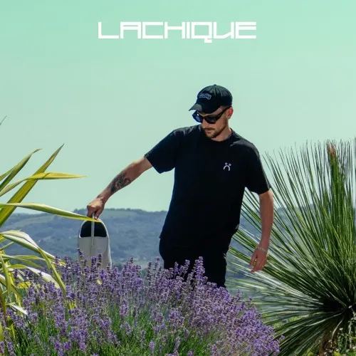 lachique