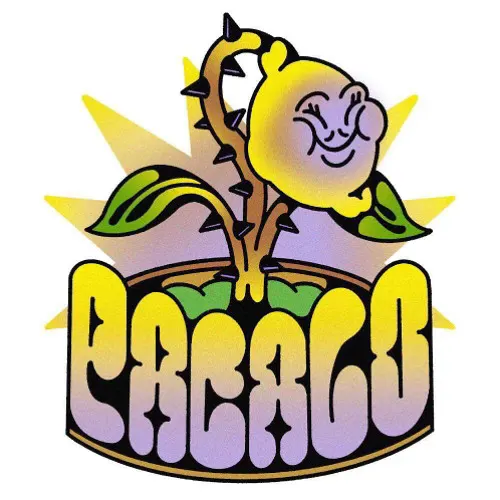 Pacalo Record