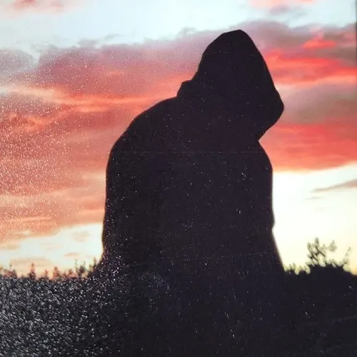 vanishaudio