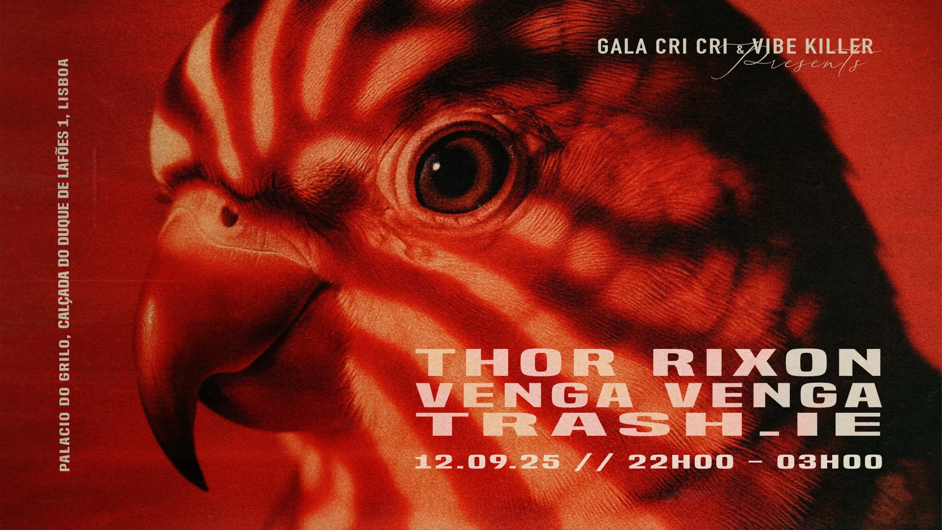 Gala Cricri & Vibe Killer: Thor Rixon, Venga Venga, Trash.Ie