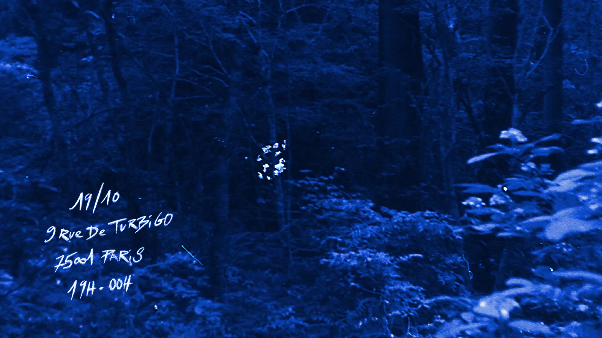 Paysages