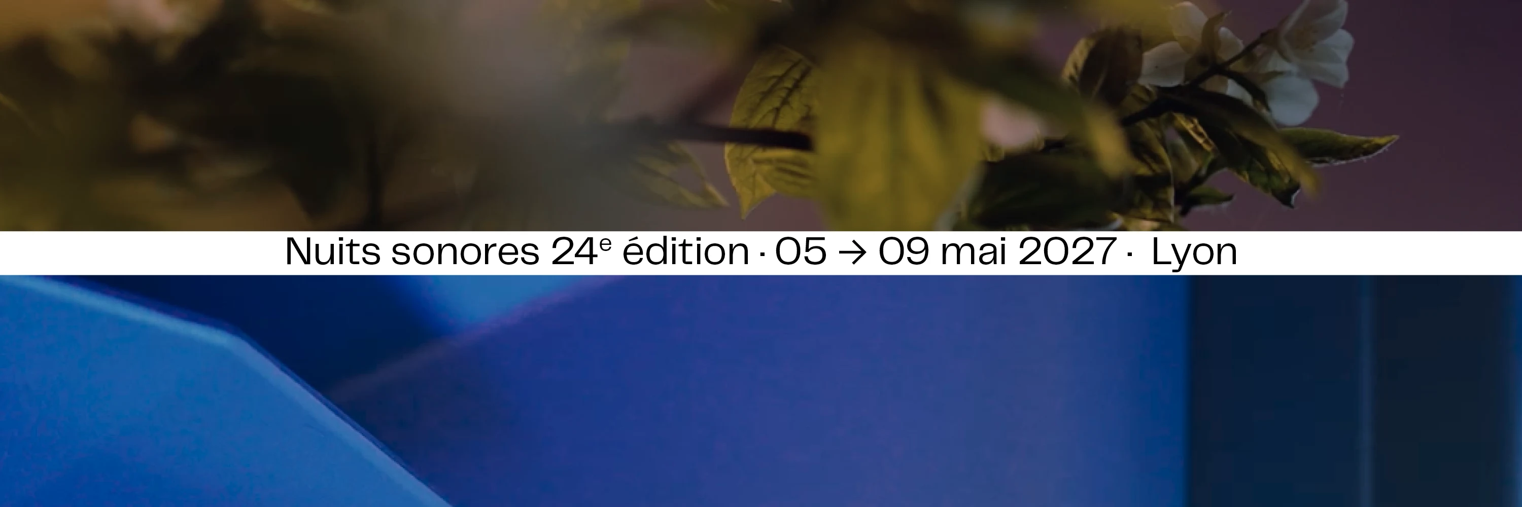 Nuits sonores