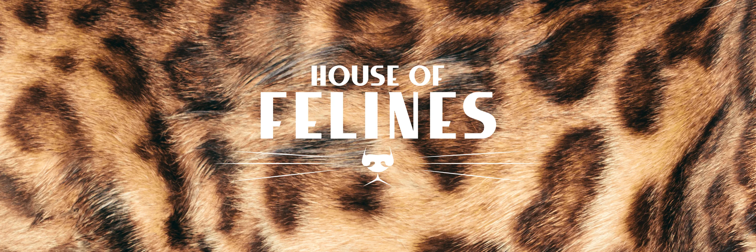 House of Felines