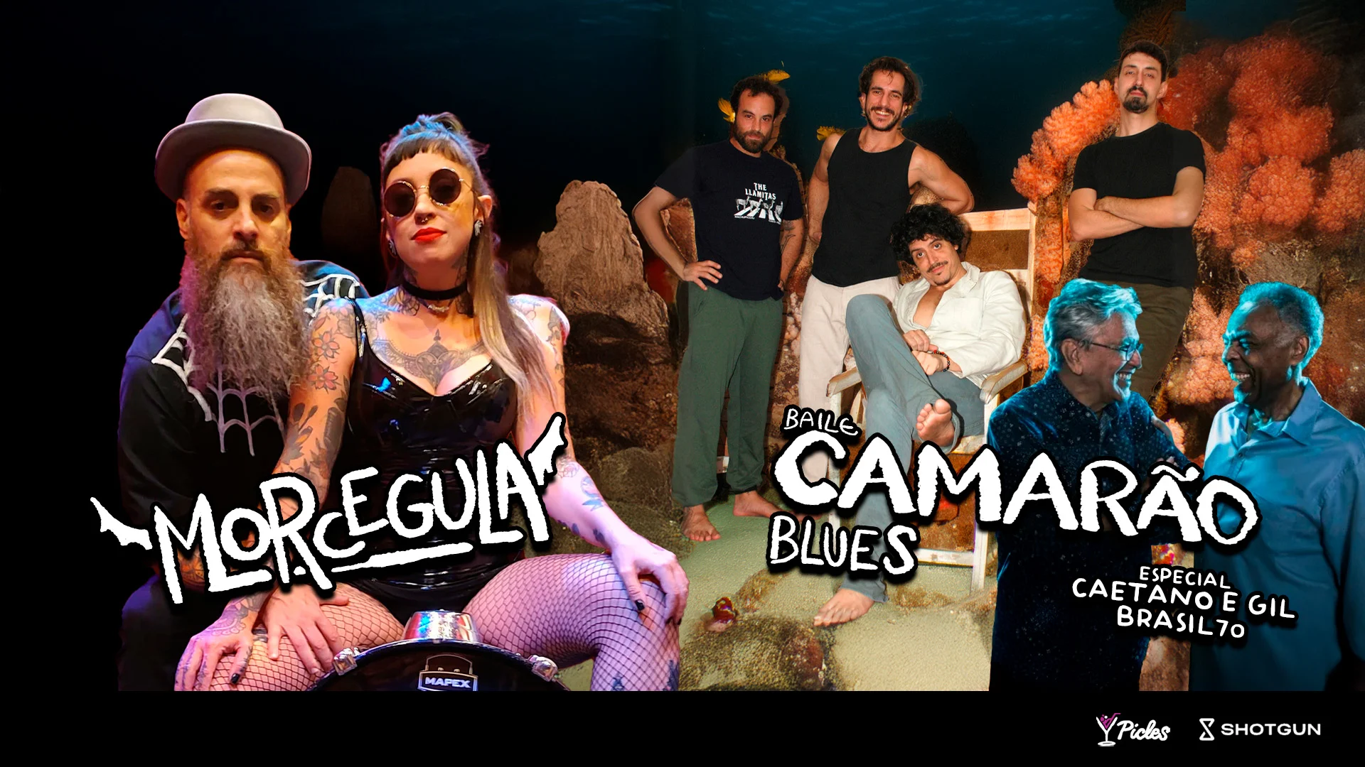 Morcegula + Camarão Blues Toca Gil E Gaetano No Picles!