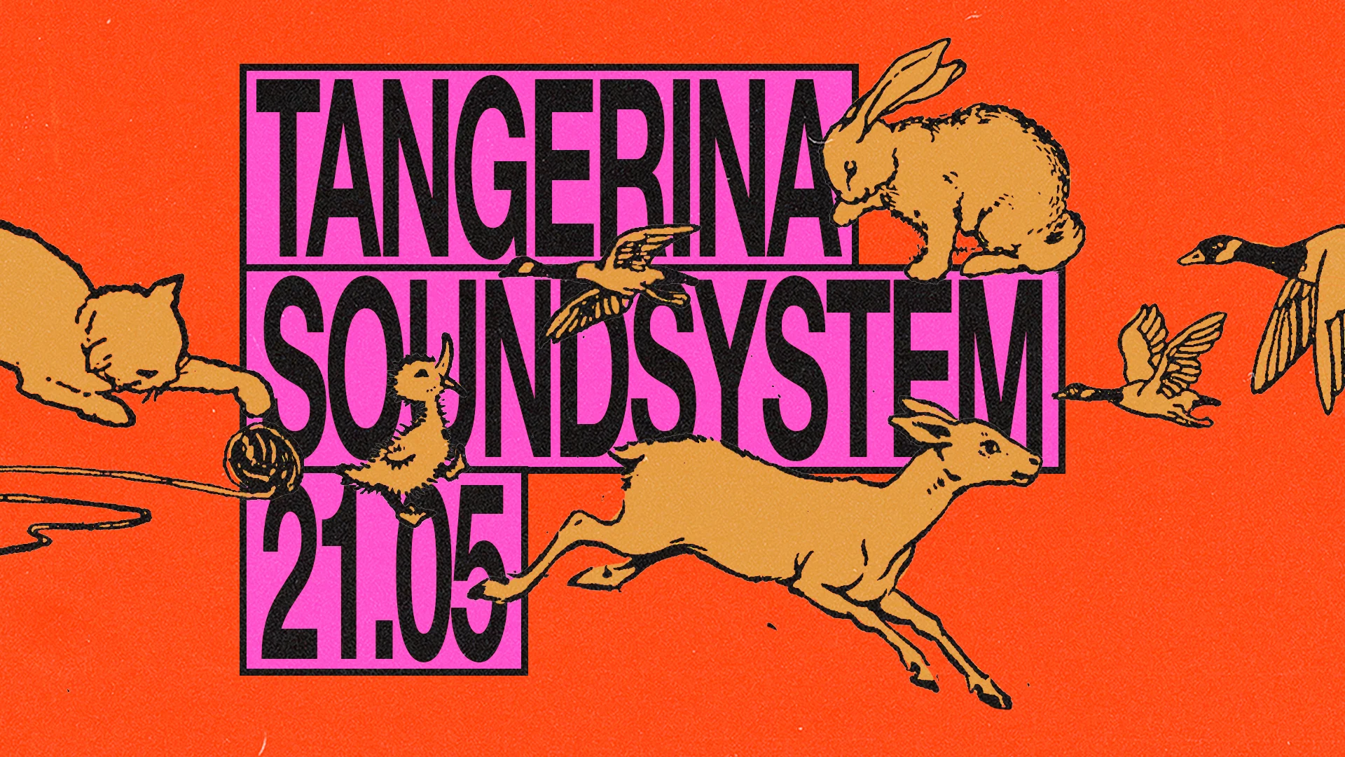 Tangerina - 21.05