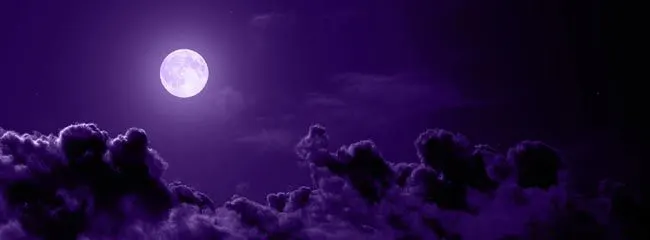 Electra