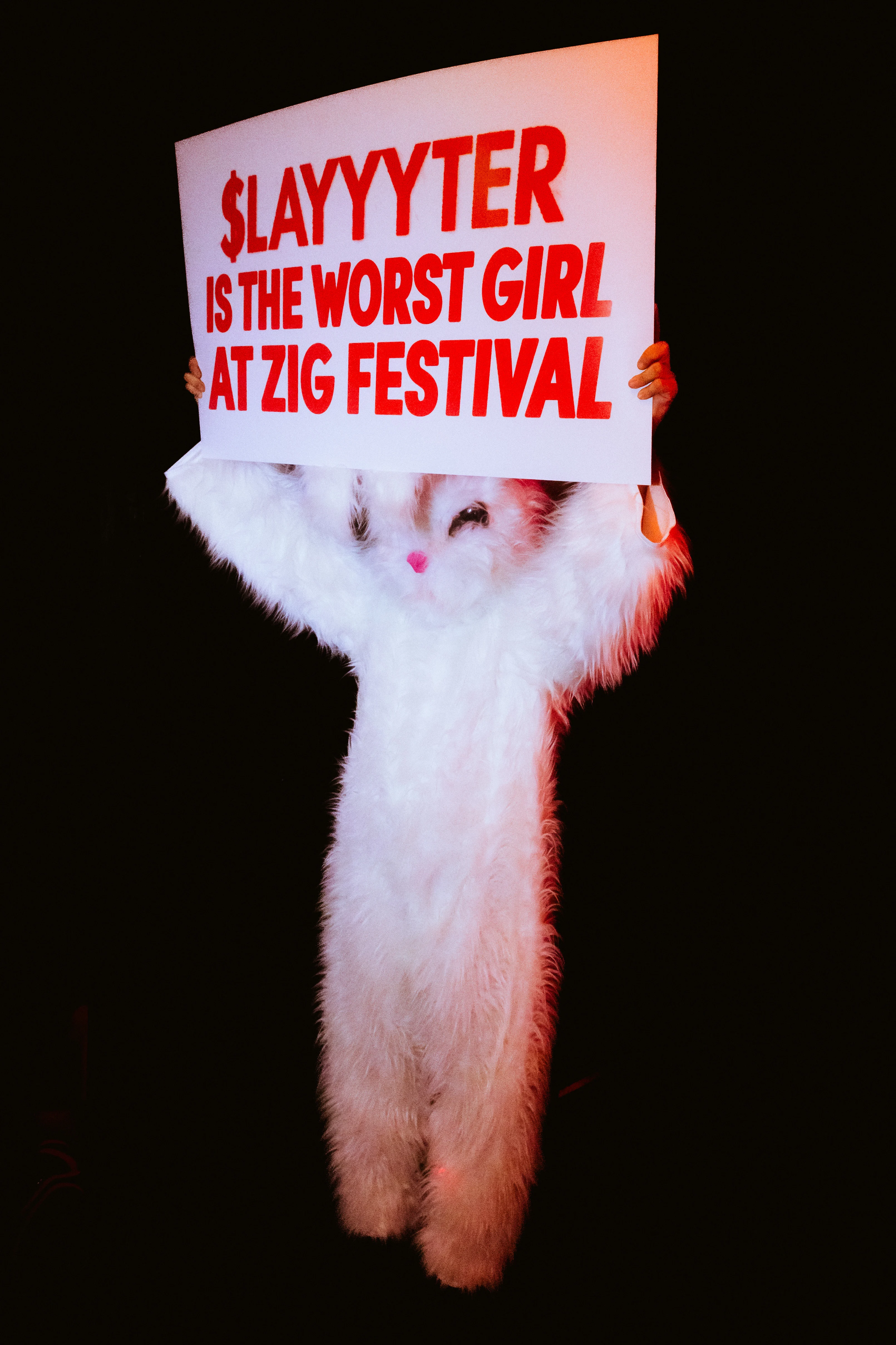 Zig Festival 2026: 10/10 | Oct 10th São Paulo