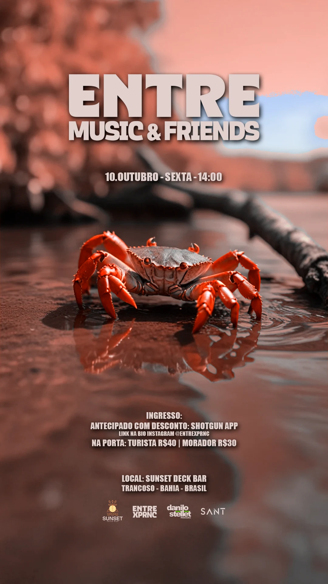 Entre Music & Friends - Edição 05