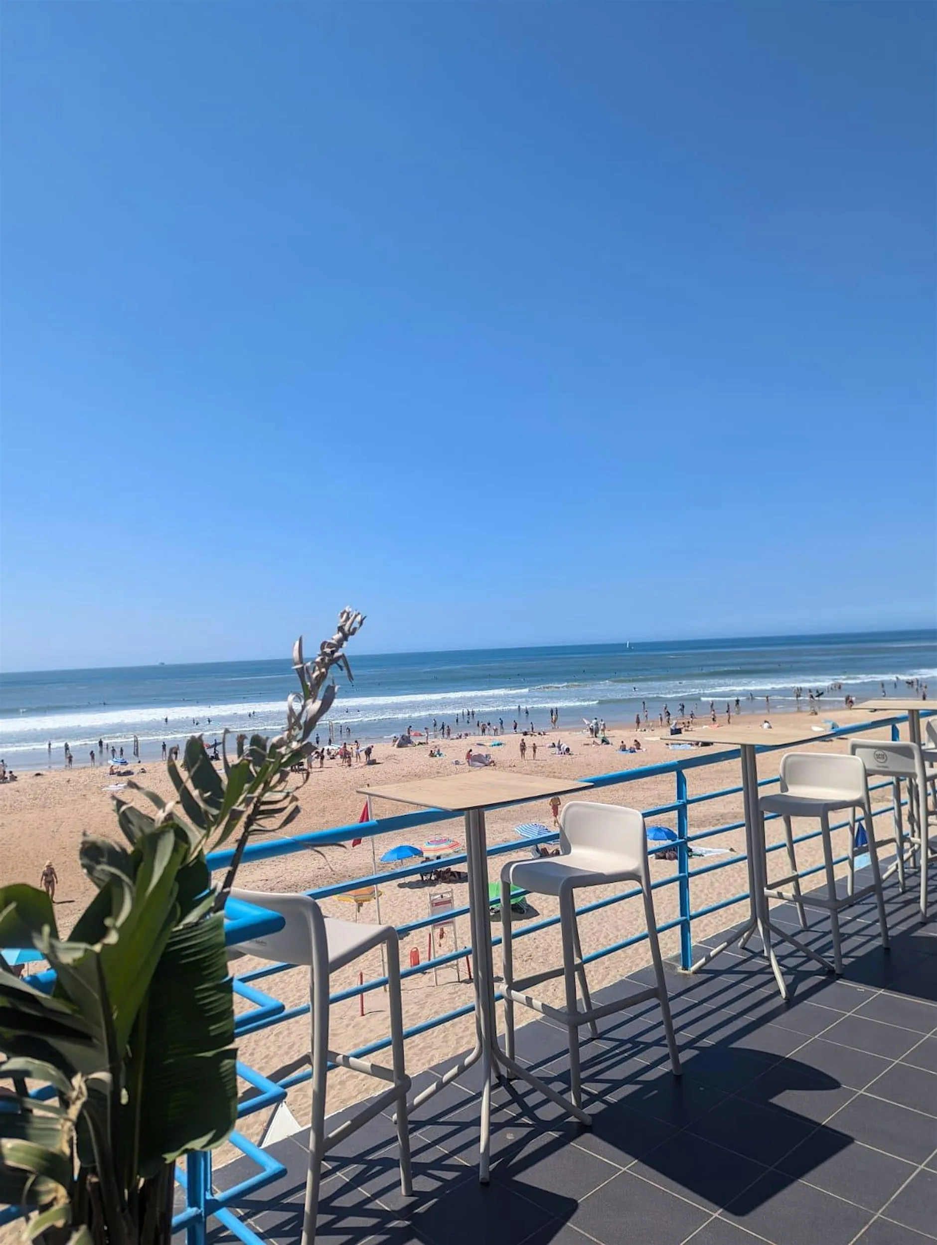 Sunset Society Beachfront Kickoff