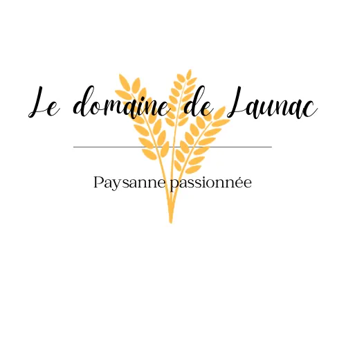 Labyrinthe Géant Montpellier