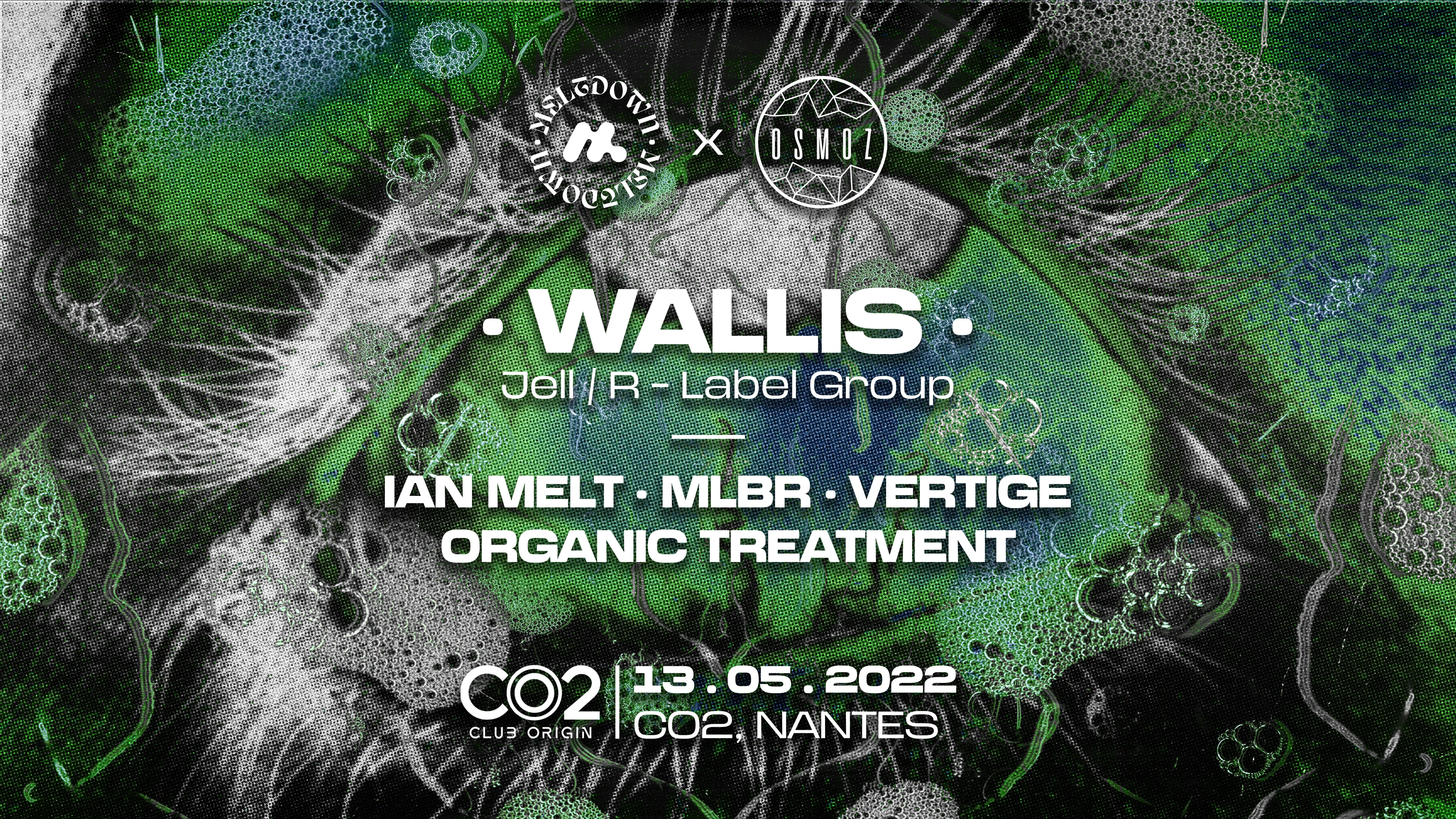 Meltdown X Osmoz W/ Wallis - Co2 Nantes