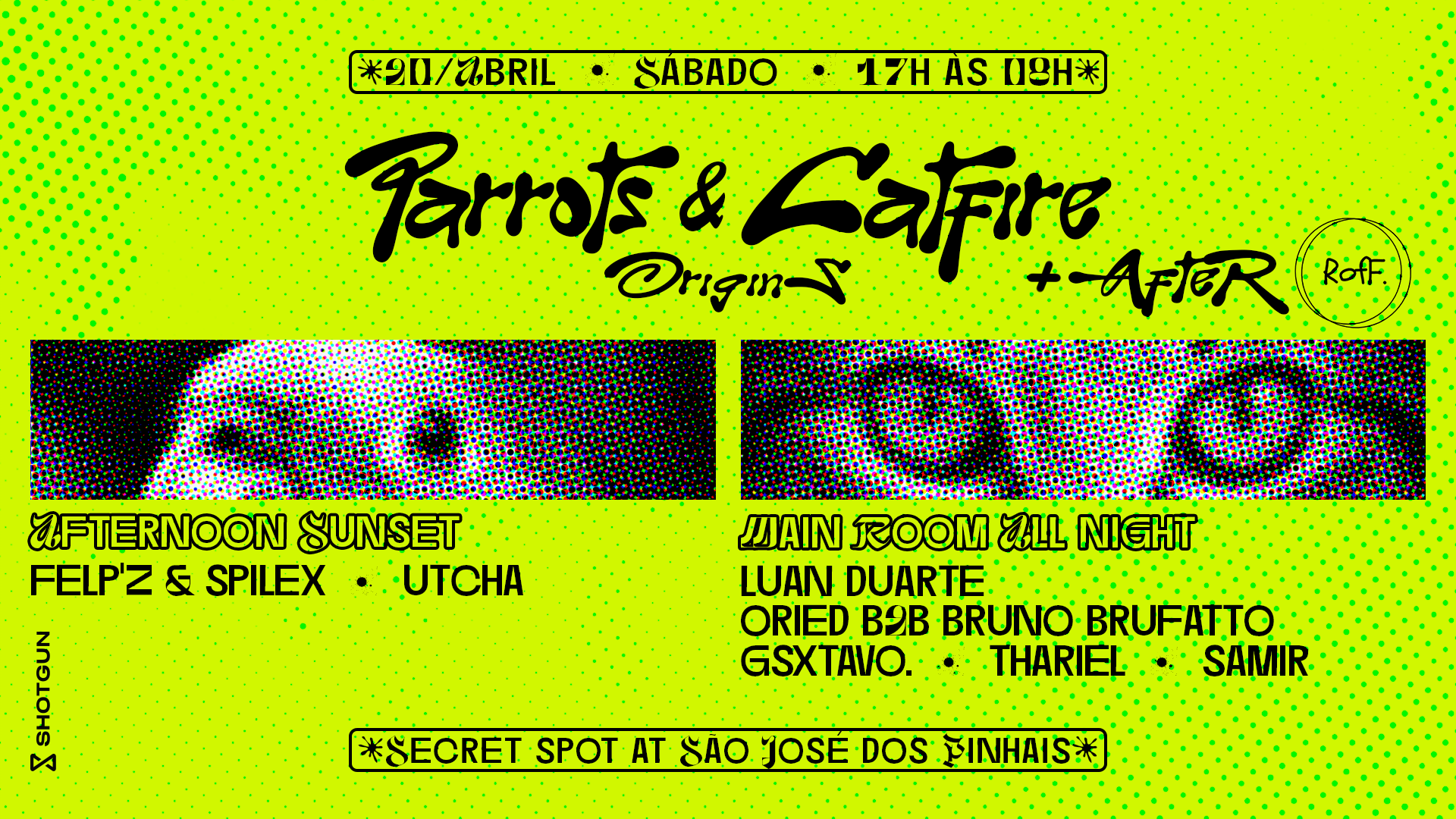 Parrots & Cat Fire • Origins | After By Roff.