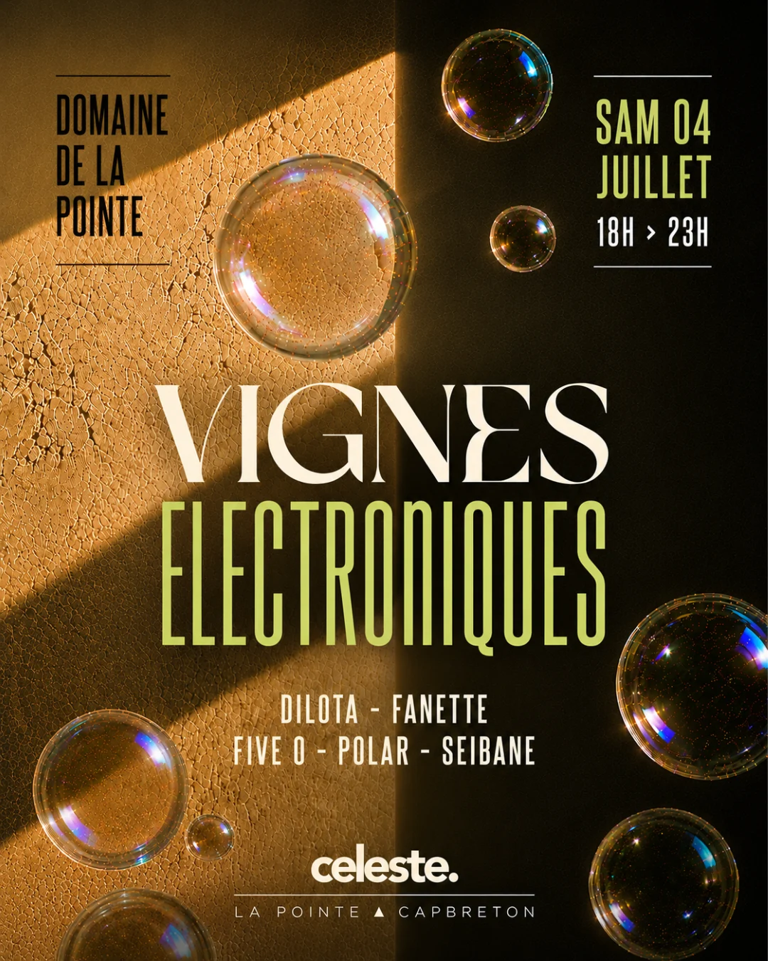 Celeste Vignes Électroniques  III