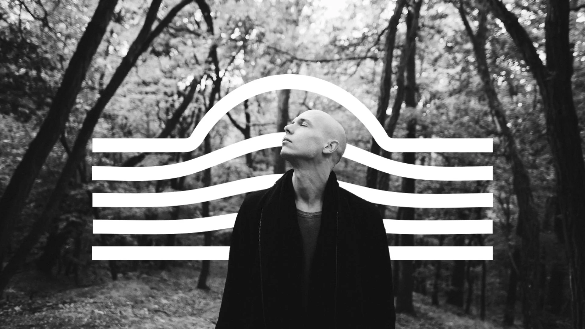 S. Society : Recondite (Live), Amour Noir, Wild Aspect