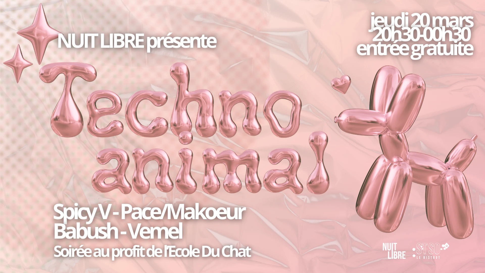 Techno Animal Au Profit De L'ecole Du Chat