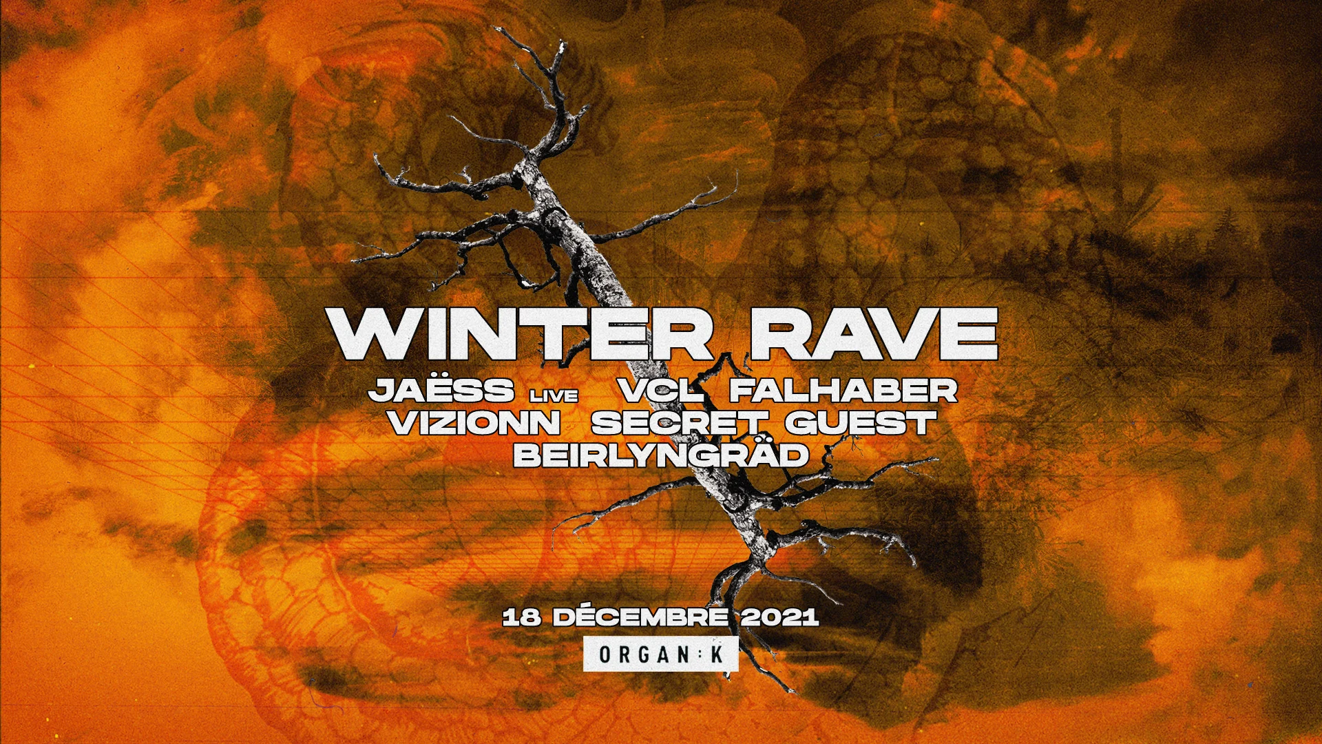 Organïk : Winter Rave