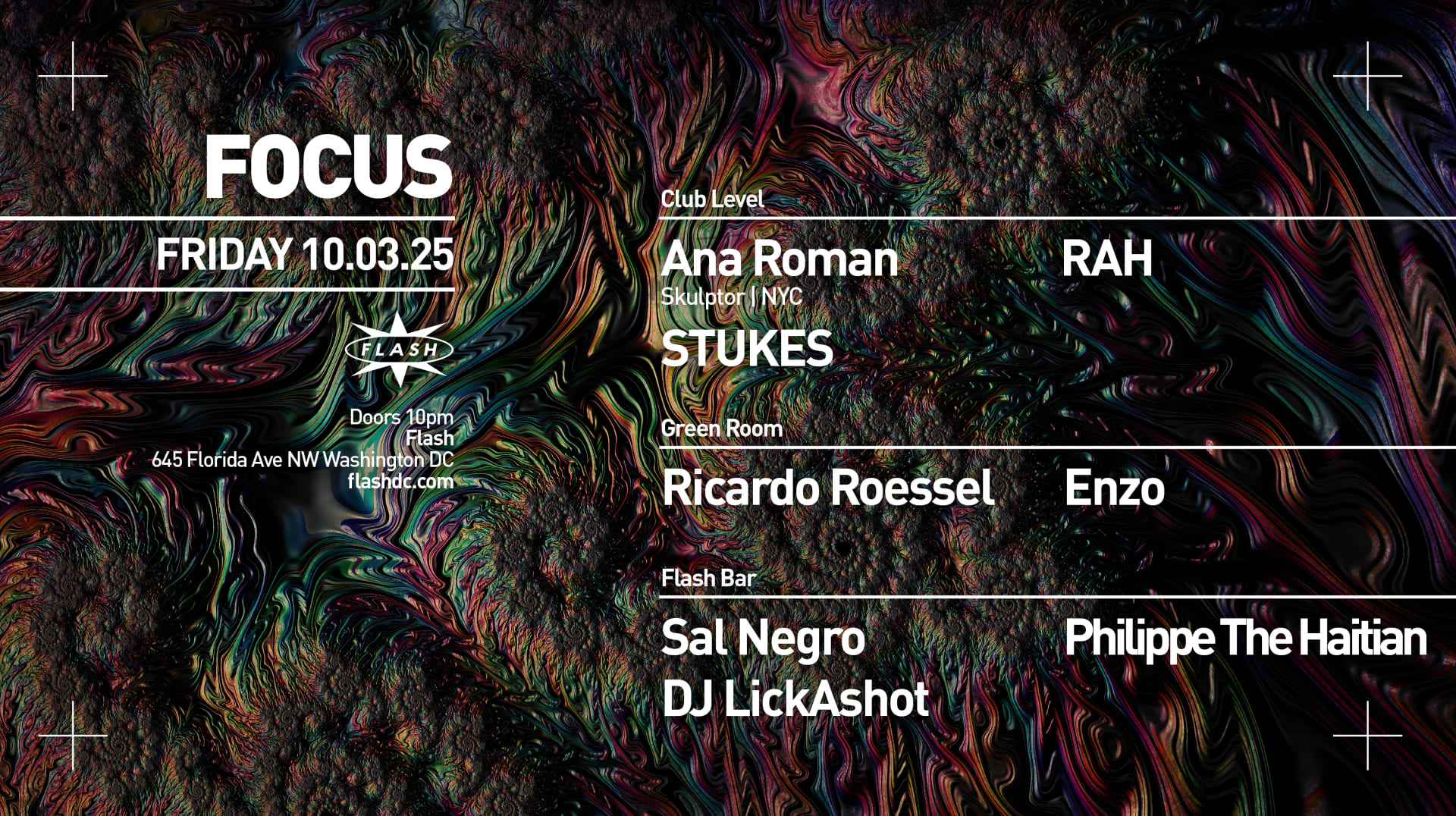 Focus: Ana Roman