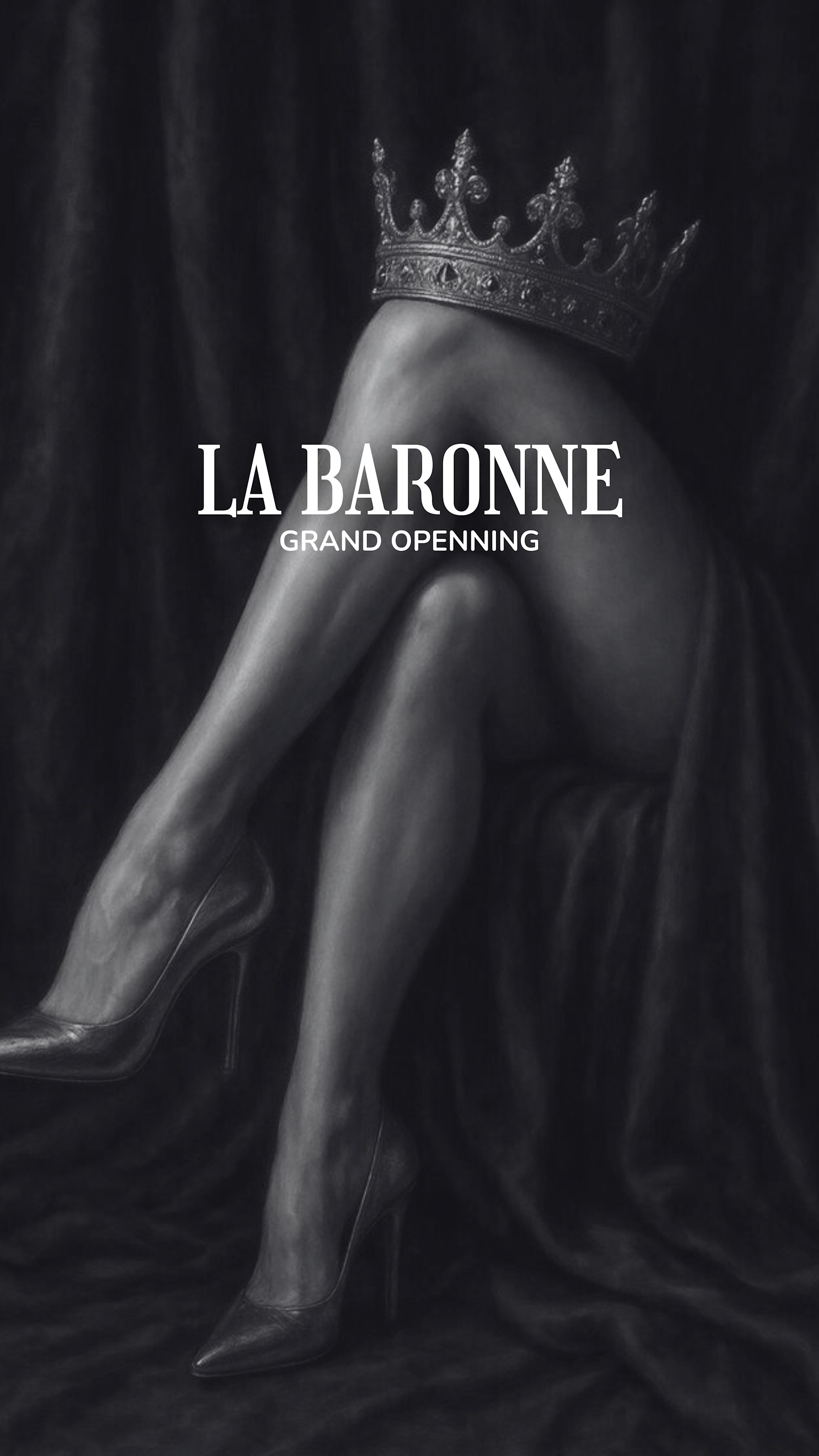 La Baronne - Chapitre I