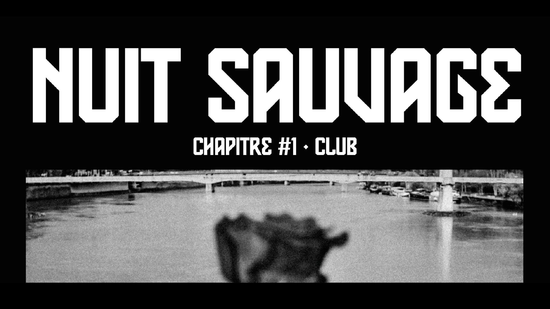 Nuit Sauvage