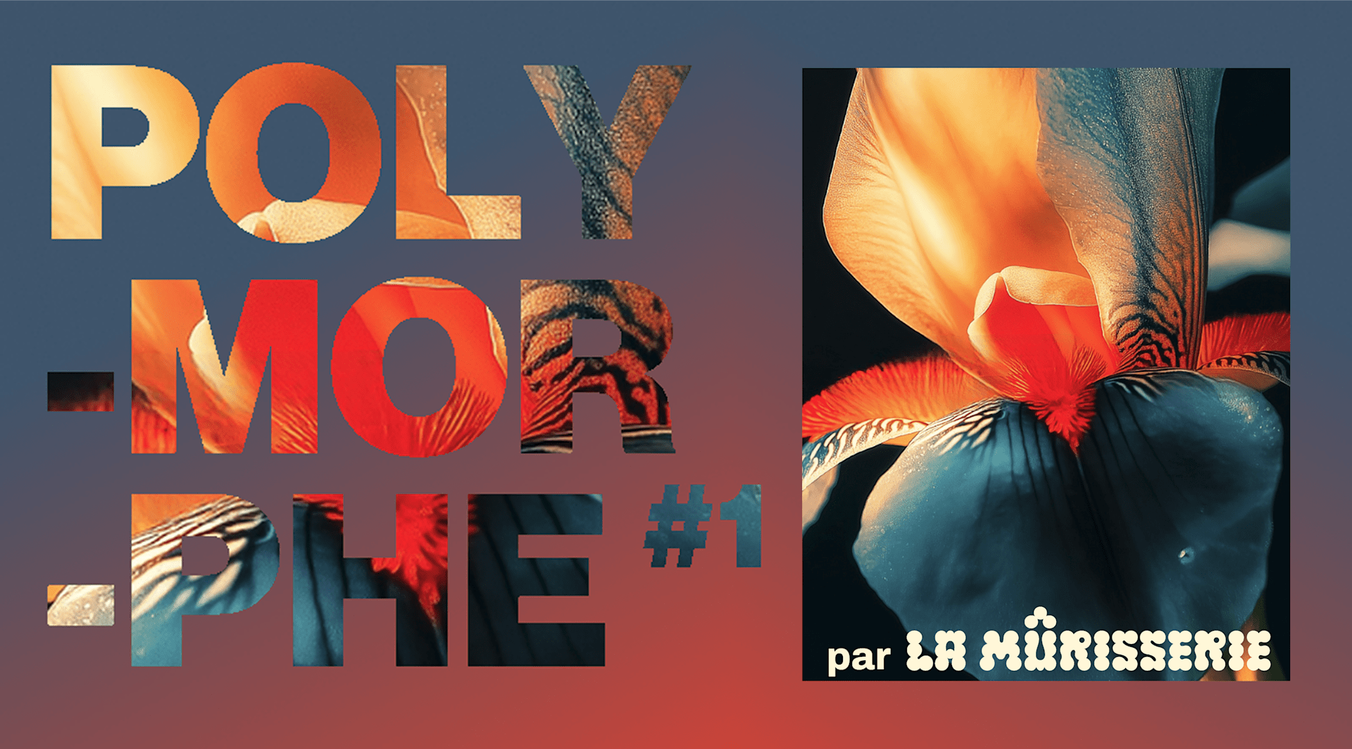 La Mûrisserie Présente Polymorphe #1 - Prix Libre