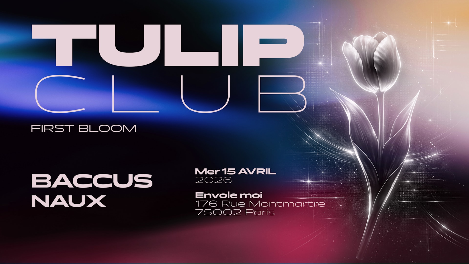 Tulip Club : First Bloom