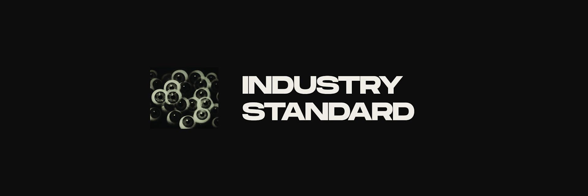 INDUSTRY STANDARD