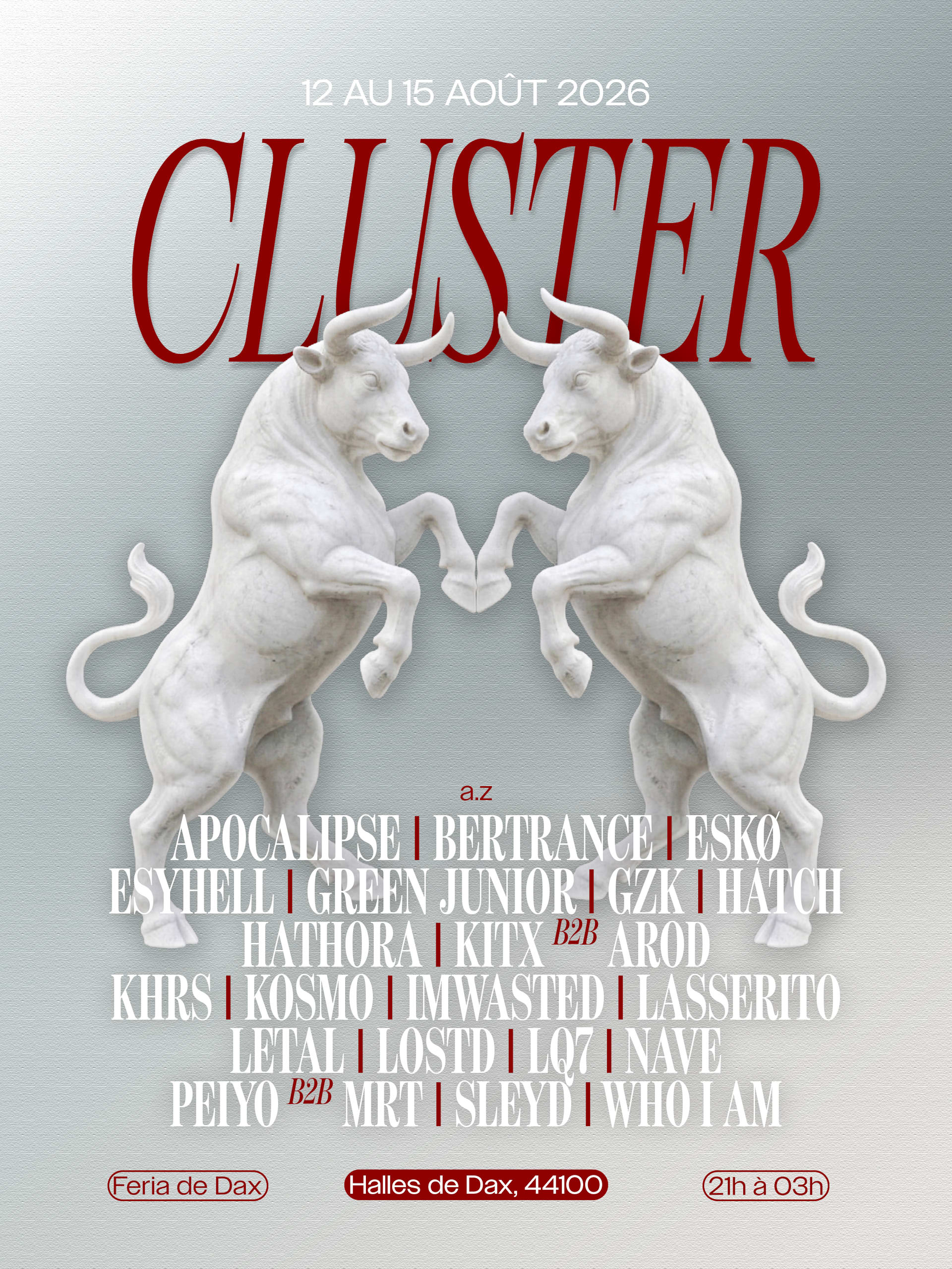Cluster X Fêtes De Dax