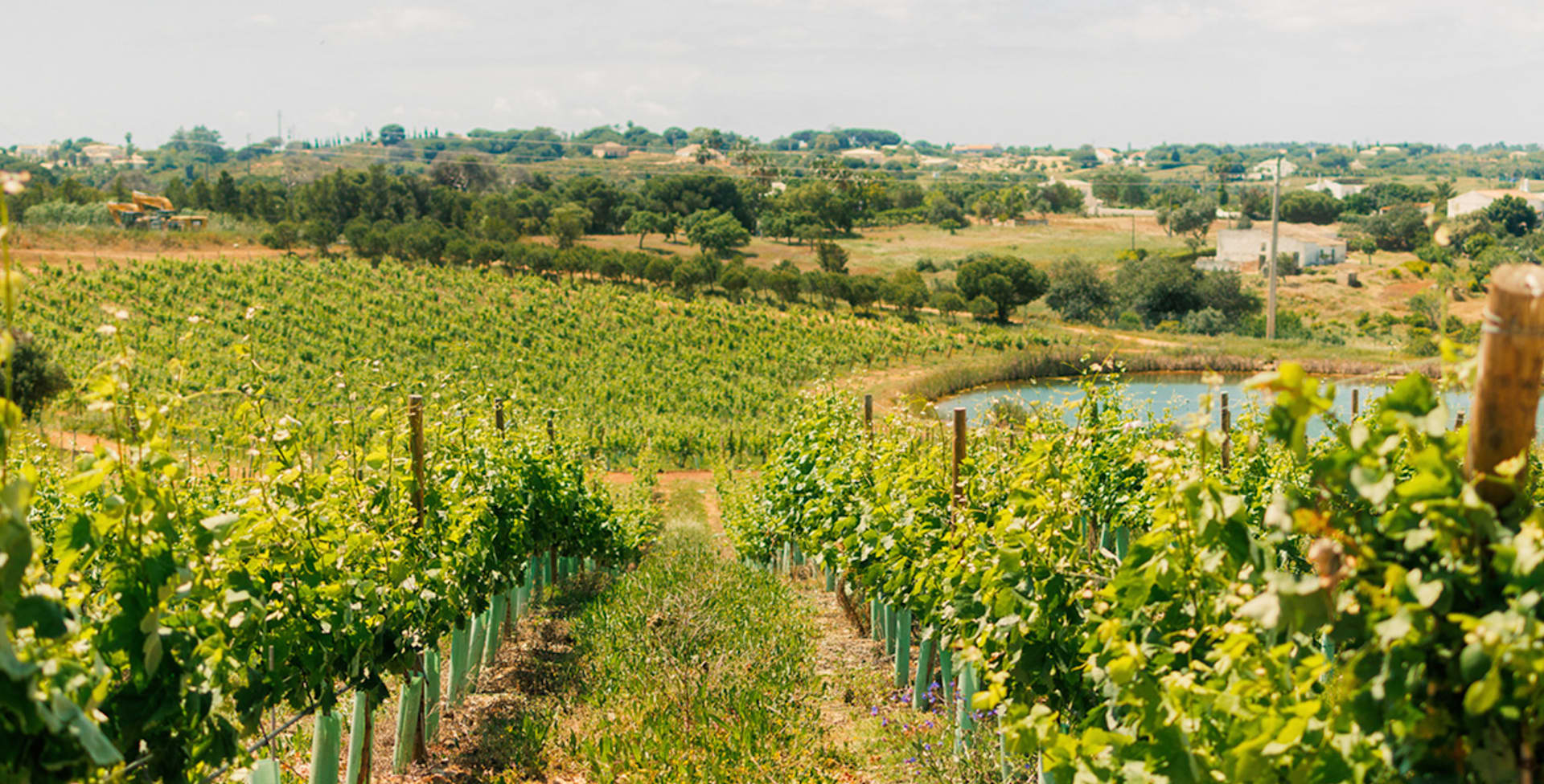 Quinta do Sol