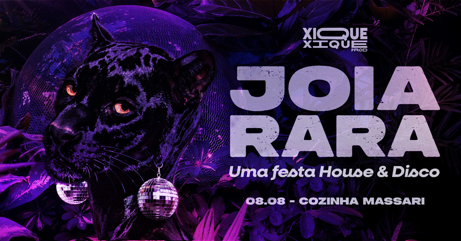 Joia Rara 10, Uma Festa House E Disco