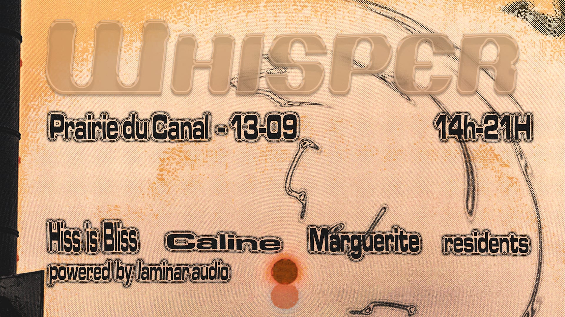 Open Air : Hiss Is Bliss, Caline, Marguerite & More