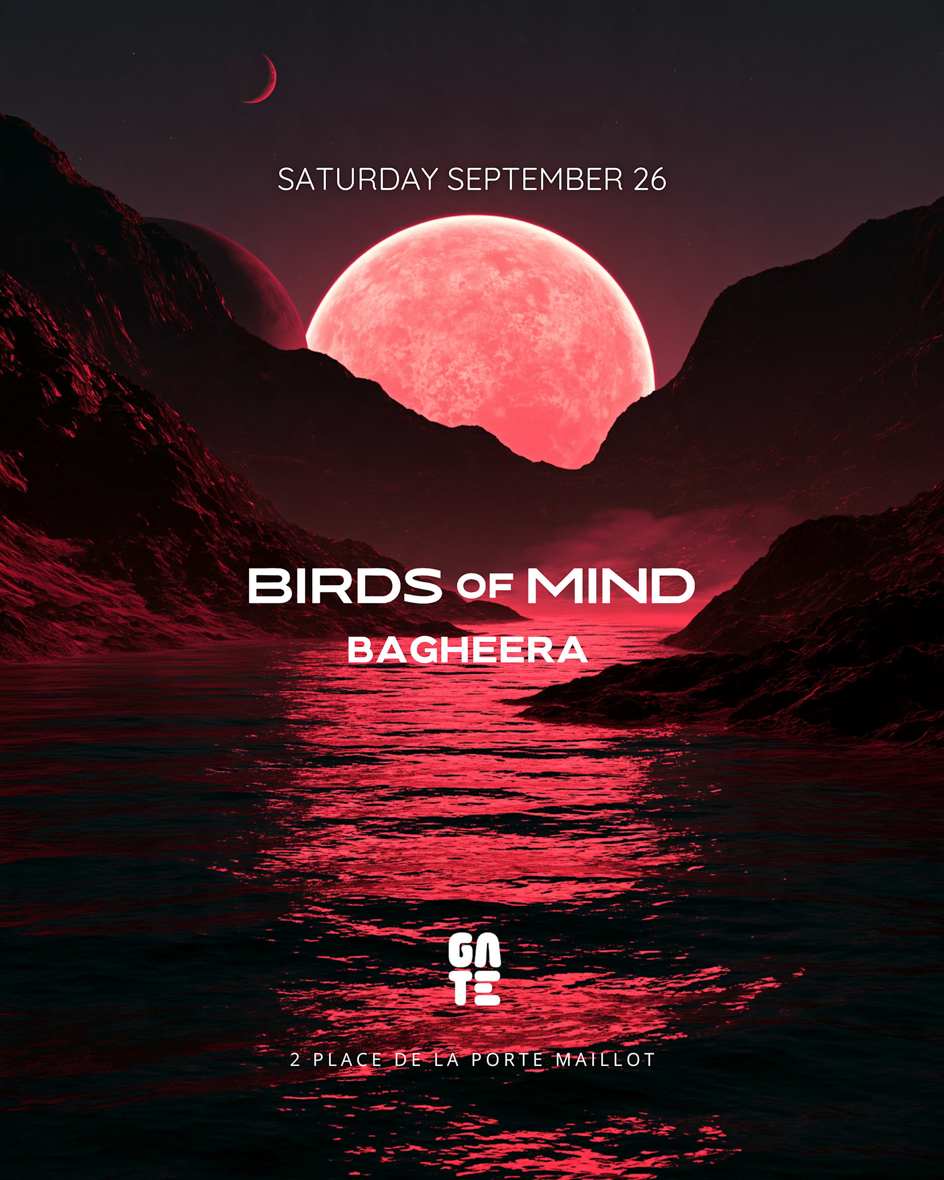 Birds Of Mind X Bagheera At Gate Club Paris
